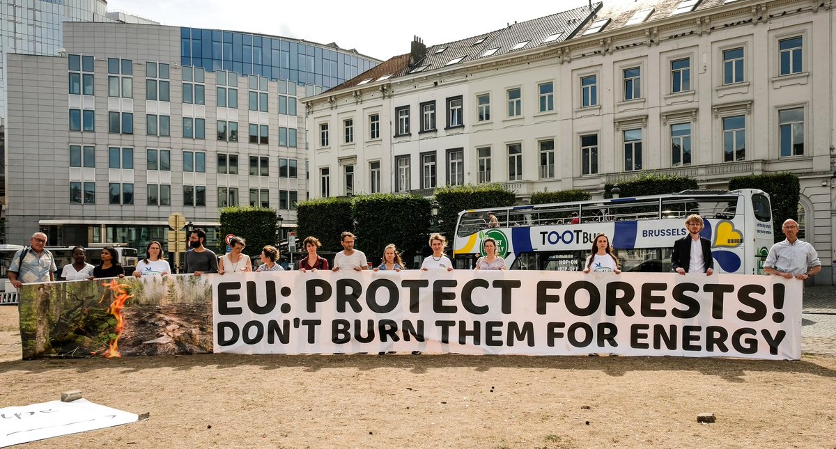 Jutro głosowanie nad dyrektywą #OZE. Wzywamy naszych przedstawicieli i przedstawicielki🇵🇱 w <a href="/Europarl_EN/">European Parliament</a>🇪🇺 do głosowania za zaprzestaniem traktowania drewna jako OZE i wstrzymaniem dotowania spalania lasów‼️🌳🌍🔥 #Biomass #StopFakeRenewables