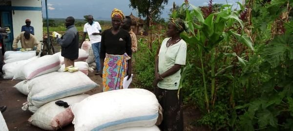 SpedpS's tweet photo. SPEDP finished the distribution of Agric
 inputs G/nuts, onions and cabbages to 2,000 farmers targeted in Yaribe, Wudabi, Gulumbi and Lujulo Payam of Morobo County in Central Equatoria State. https://t.co/5BoK8gX0VL