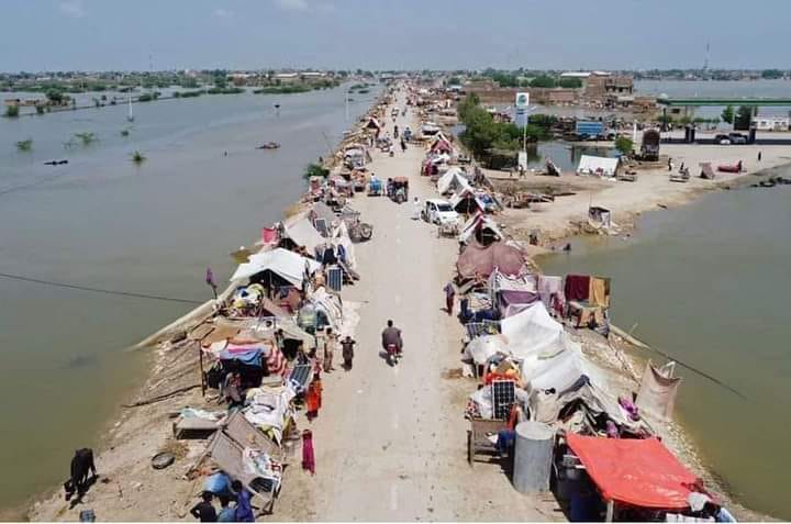 پلیز۔ گاڑیوں والے رات کو ہارن نہ بجائیں ہمارے بچے نیند 
سے جاگ کر  روٹی مانگتے ہیں 🙏😭 💔
بلوچستان