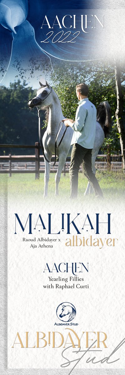 ArabianEssence's tweet photo. Malikah Albidayer - Yearling Fillies in Aachen
AACHEN Yearling Fillies with Raphael Curti

Click here to see High Resolution version:
https://t.co/dNc3yrl0gx

#malikahalbidayer #aachen2022 #raphaelcurti #albidayerstud https://t.co/OojY9PBwmi