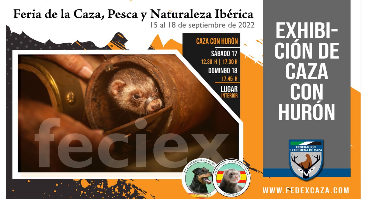 👉El sábado y el domingo, en <a href="/feciex/">FECIEX</a> tenemos Exhibición de Caza con Hurón
💪¿Te lo vas a perder? 😉