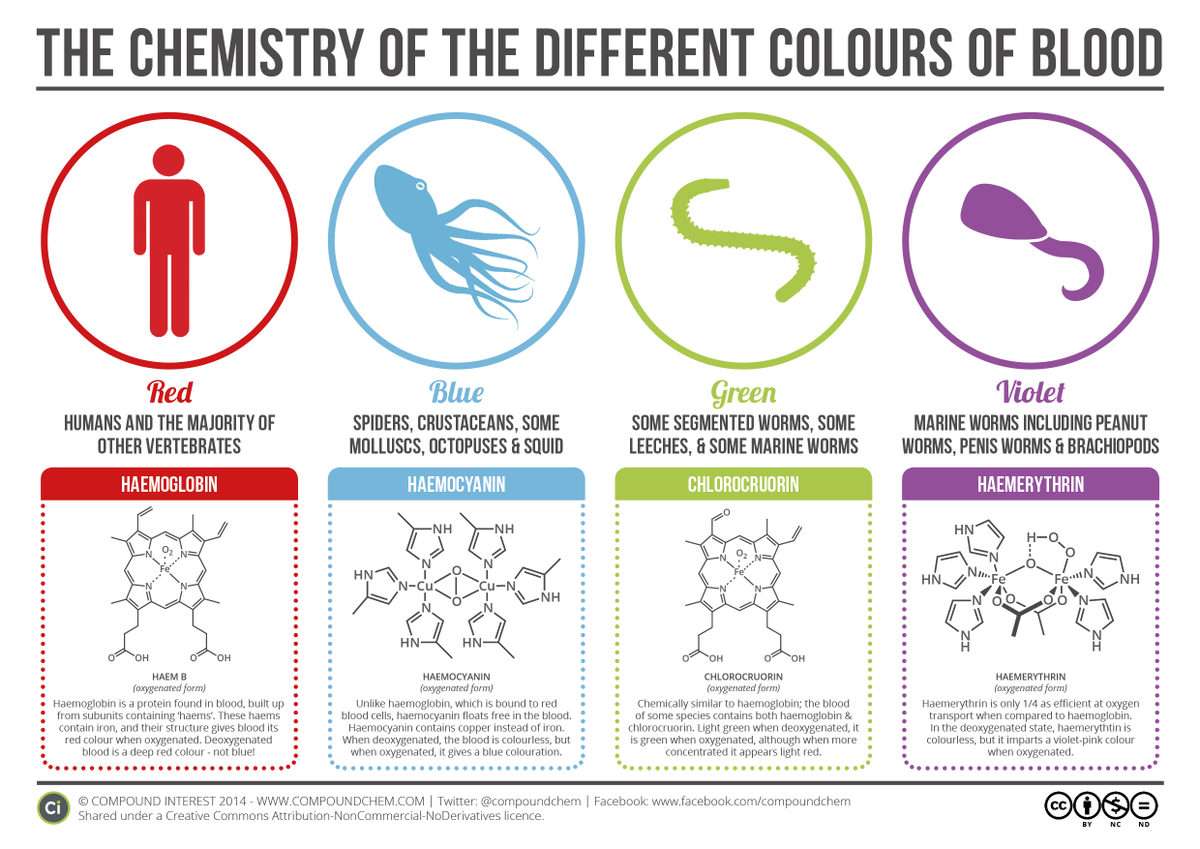 Blood is not necessarily red.