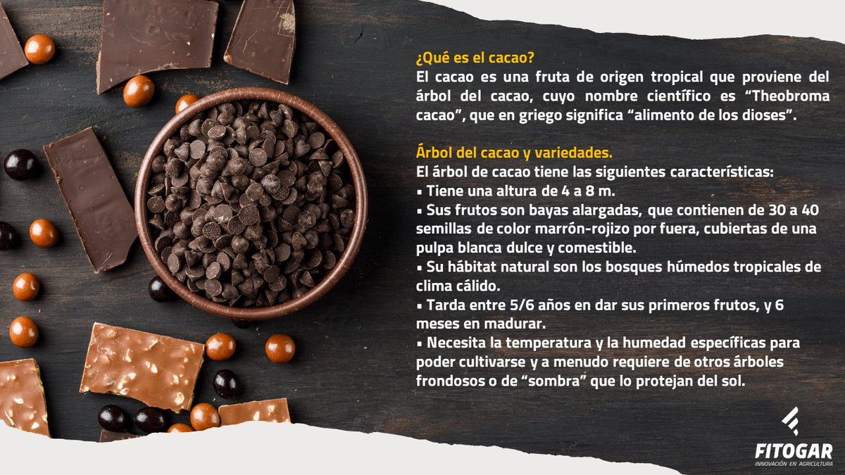 Fitogar_'s tweet photo. ¿A quién no le gusta endulzar sus días con chocolate? 🍫🤎
En el Día Internacional del Chocolate, os dejamos algunas de las curiosidades de uno de los mayores placeres de la vida.
#Fitogar #lanuevaagricultura #diainternacionaldelchocolate https://t.co/aOQ8Nga0j1