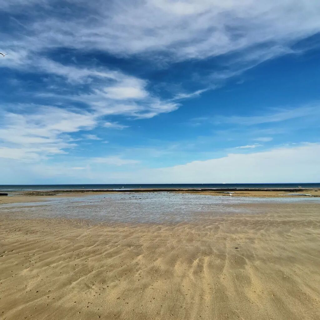 keytomytrip's tweet photo. Si tu ramasses un coquillage et que tu le portes à ton oreille, tu entendras la mer. Si tu le portes à ta poitrine, il entendra ton coeur
.⁣
.⁣
.⁣
#langrunesurmer #normandie #cotedenacre #calvados #terresdenacre #saintaubinsurmer #lucsurmer #borddemer #lionsurmer #normandy #… https://t.co/uxrJG6TYzR