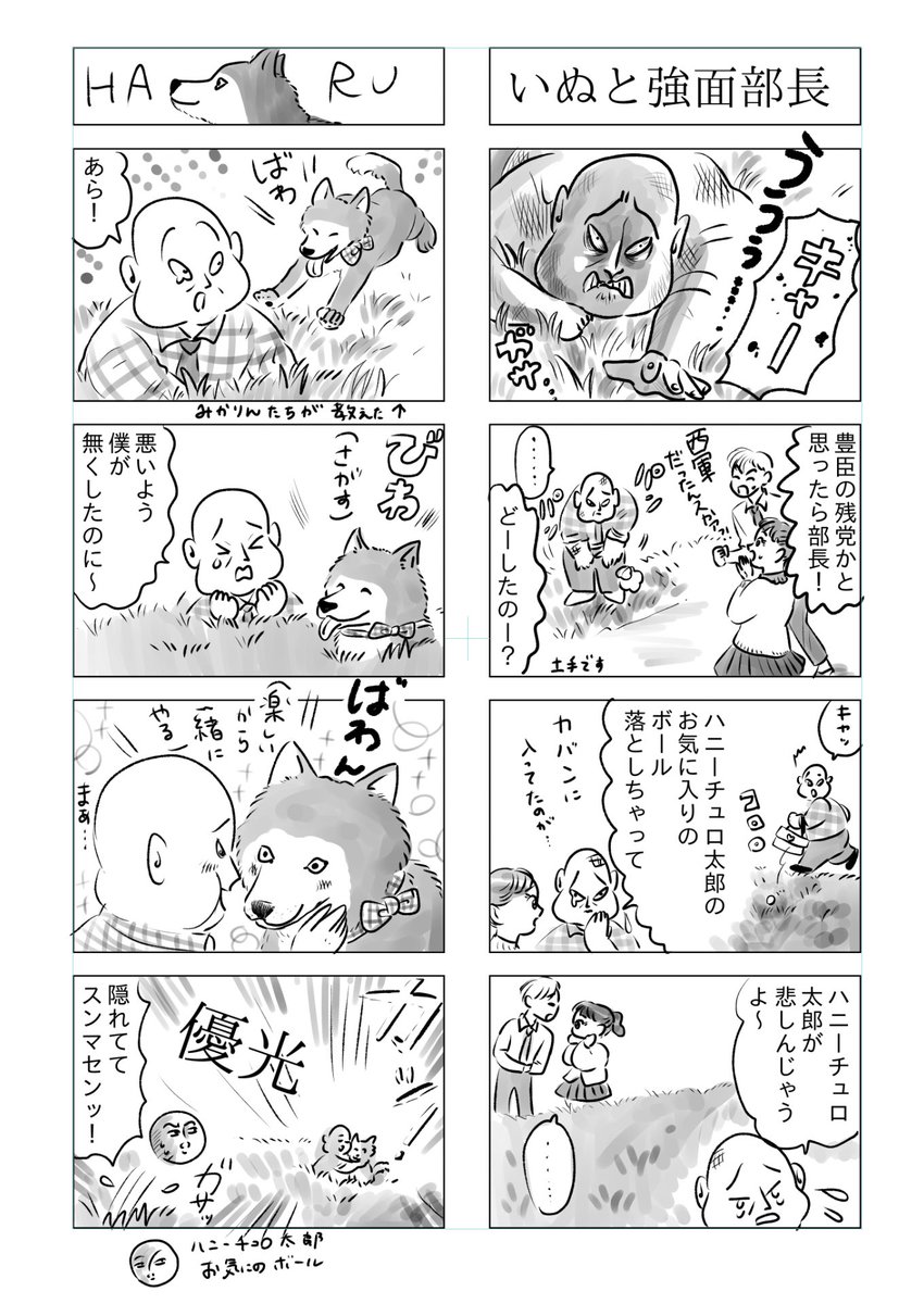 トラと陽子(ハニーチュロ太郎と強面部長)

大切なわんこの大切なボールを無くしてしまった話 