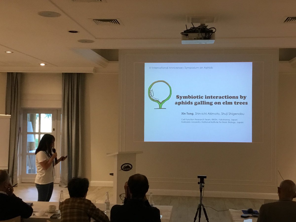 ColinFavret's tweet photo. ⁦@JoyceXTong⁩, the only post-doctoral scholar at #11ISA, presents some amazing work on the many symbiotic interactions in aphid galls, testing seminal evolutionary theory. https://t.co/rFj2NvykNo