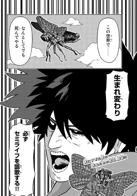(14/14) 