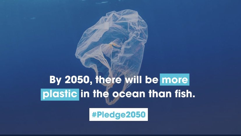 innoplasticc's tweet photo. You read that right. By 2050, our oceans will contain more plastic than fish. It’s time to quit plastic once and for all. Take the pledge at https://t.co/Q5UF5RXeEN. #Pledge2050 #innoplastic https://t.co/PKij5h0HAr