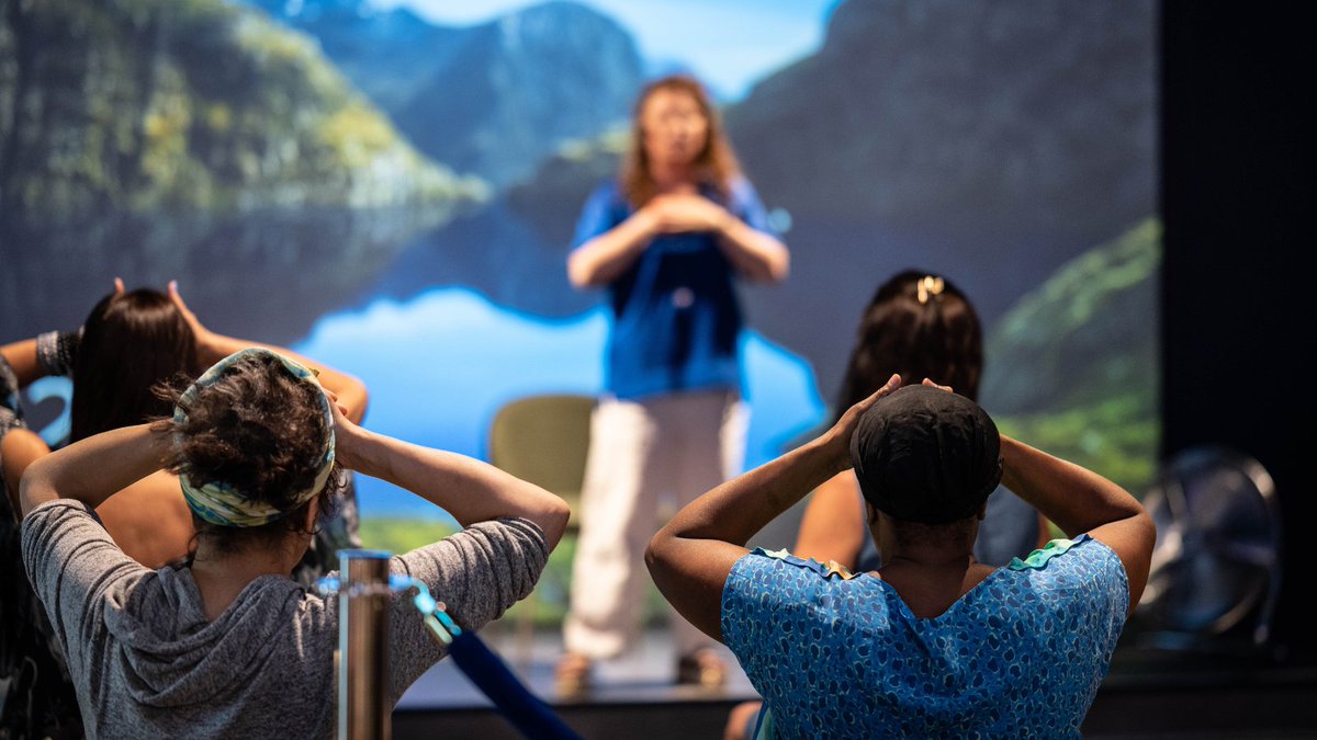 SITU LIVE tweet media