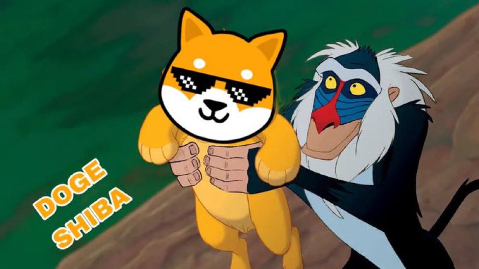 DogeShiba 🐶 tweet media