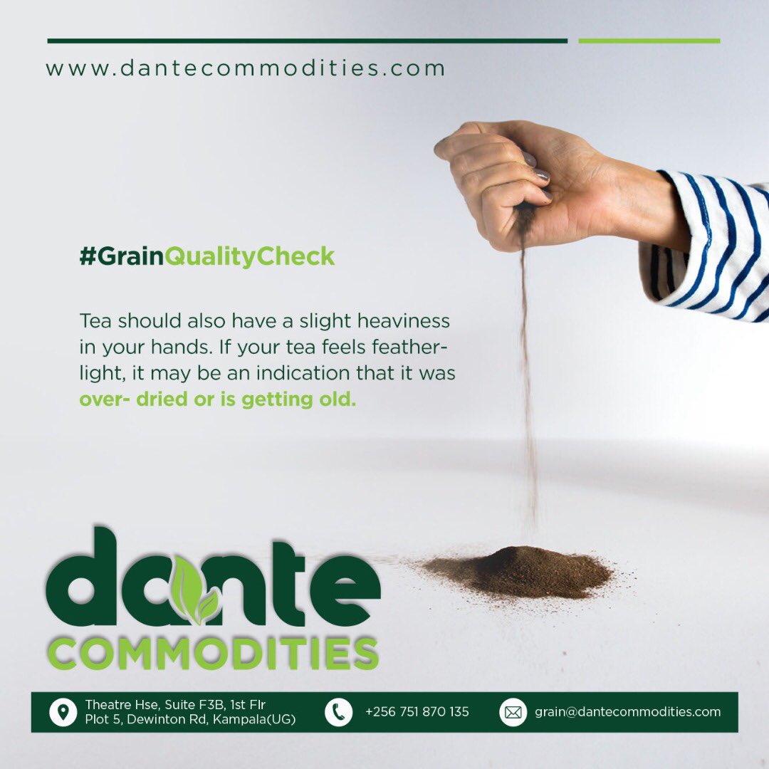 DCommoditiesUG's tweet photo. #GrainQualityCheck
🌱 Tea should also have a slight heaviness in your hands. If it feels feather-light, it may be an indication that it was over-dried or is getting old.
#DanteCommidities #Grain #GrainCheck #GrainyFacts #Chooseday https://t.co/nwUZ4c5ilu