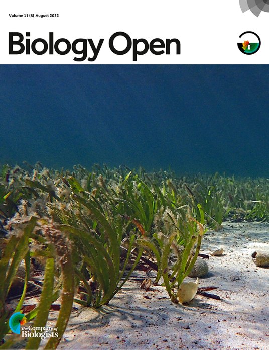 Biology Open (@biologyopen) on Twitter photo The latest issue of Biology Open is now complete, available to read fully #OpenAccess. Read on for:
🧪Research Articles
📰A new Meeting Review from <a href="/BiostructA/">BioStruct-Africa</a>
🎙️ Interviews with our #ECR authors
journals.biologists.com/bio/issue/11/8 The latest issue of Biology Open is now complete, available to read fully #OpenAccess. Read on for:
🧪Research Articles
📰A new Meeting Review from <a href="/BiostructA/">BioStruct-Africa</a>
🎙️ Interviews with our #ECR authors
journals.biologists.com/bio/issue/11/8