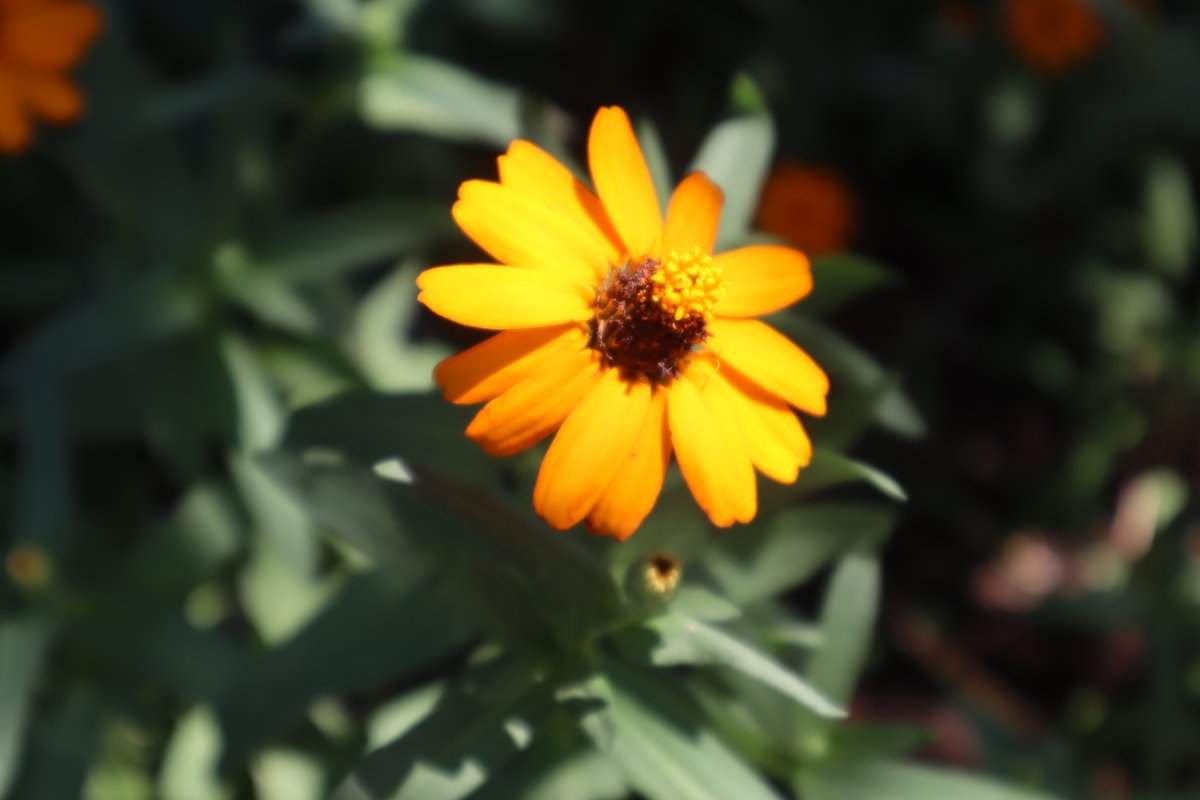 🎼今までは気づかなかった
コンクリートに咲く花…
誰もが授かったONE HEART
いつの間にか忘れてたケド
一輪の花がくれた勇気と希望を
…AI

営業から突然
明日の展示会資料作成依頼
我ら生産の責任者は当然怒るが
僕ら平民は平気

指示に従い
やれる事を一工夫し
成長できる幸せ🍀

お疲れ様です😊