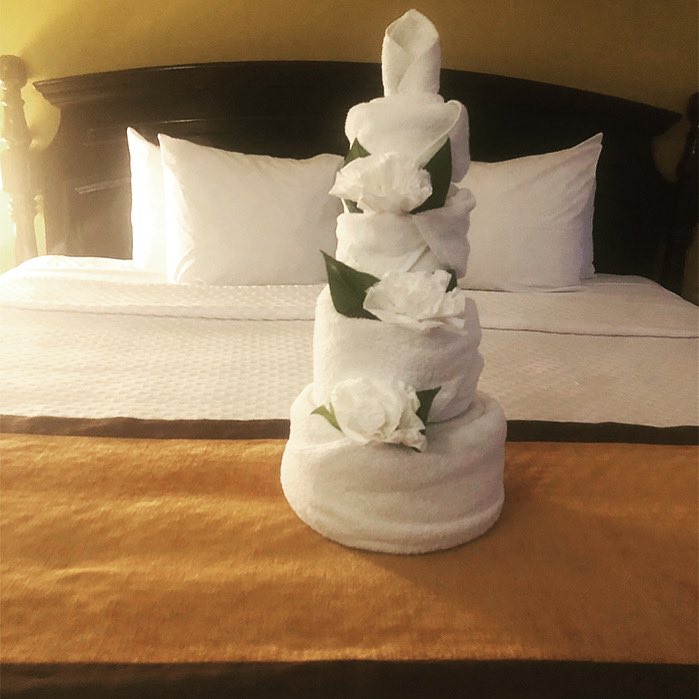 through_al's tweet photo. It’s TOWEL ANIMAL TUESDAY time!#travel #cruising #cruiselife #cruise #Carnival #MardiGras #toweltuesday #TowelAnimal #RoyalCaribbean #TowelAnimalTuesday #cruiseship #Caribbean #Towel #cake #wedding #Fun #Norwegian #memories #cute #tradition #CruisingThroughLifewithAlandJeannie https://t.co/7MNtnghY7v