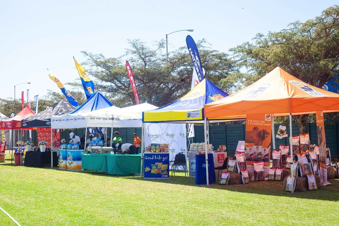 Batcavemedia263's tweet photo. Big smiles 😁 at the National Foods Holding stands as they show case their new products including Sesame Snax, Organica, Popticorn🍿, Nutri Active Instant Porridge, King Kurls and Animax🐶🐕 Superior.

📍 @stgeorgeszimbabwe 

#batcavemedia https://t.co/9tVoBINakz