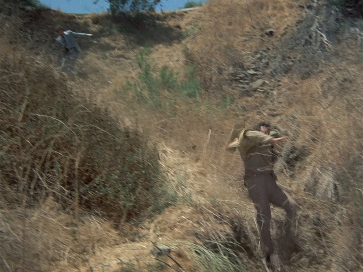 columbo screenshots (@columboscreens) on Twitter photo 