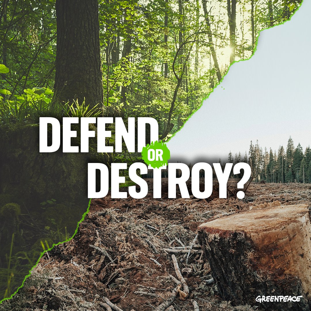 GreenpeaceCzech's tweet photo. Vážení europoslanci/kyně, dnes se může @Europarl_EN postavit proti odlesňování, za ochranu přírody a lidských práv. Stačí podpořit silný #deforestationlaw.
Na jakou stranu🪓se přidáte vy🌳?
8 testovacích bodů, o kterých budete hlasovat napoví. #spoluproprales #togetherforforest https://t.co/lFqdTSIA0d