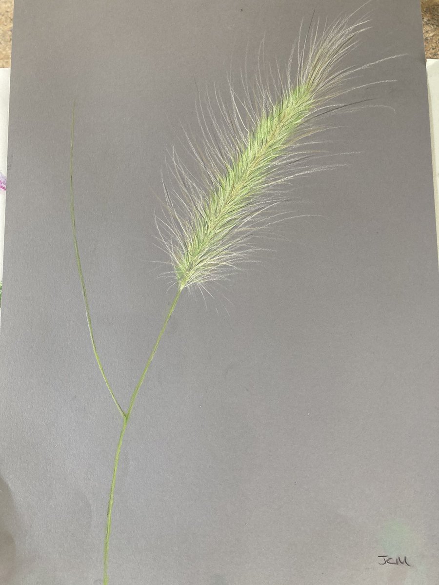 Mumbleys's tweet image. Fantastic Drawing Flowers course at @CourtHouseFarm this weekend with the lovely Janet Haigh. Stunning location. First go at drawing with pastels - very different, but great fun!!