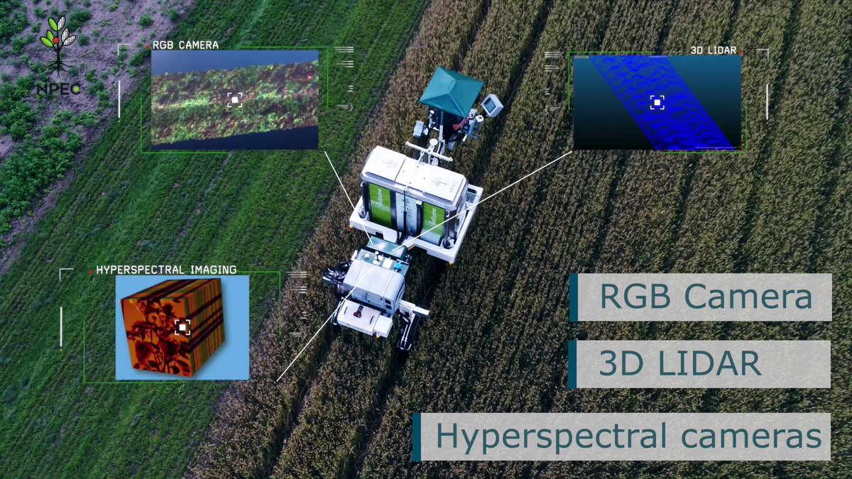 CropTraits's tweet photo. Looking fwd to this years #IPPS2022! 

Be sure to check out our #TraitSeeker platform at the @NPEC_nl Opening Reception- anyone wanting a personal field demonstration on the platform contact us at https://t.co/y2krU9ugMK

Be great to catch up with everyone since the pandemic! https://t.co/NFSXvwE7r1