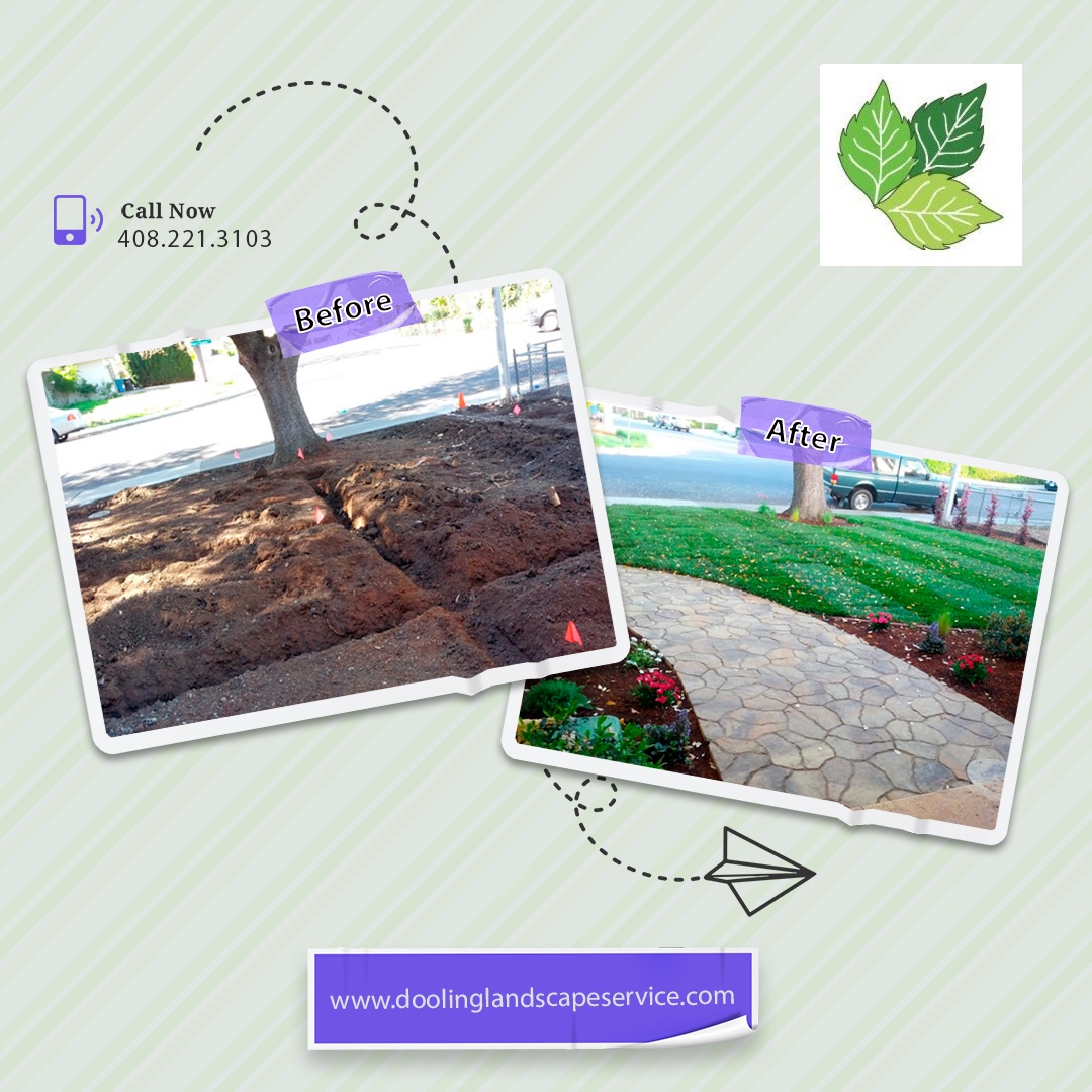 LandscapeSJ's tweet photo. For professional landscape design, call 408.578.2942! 

#landscape #landscapedesign #shrubs #landscapes #landscapestyles #hardscapes #lawnservice #lawns #lawnporn #lawngoals #usenaturaloxygen #cleanyourairwithplants #landscaping101 #bestlandscapersintown #landscapingthatworks https://t.co/aiEPU8ZNfR