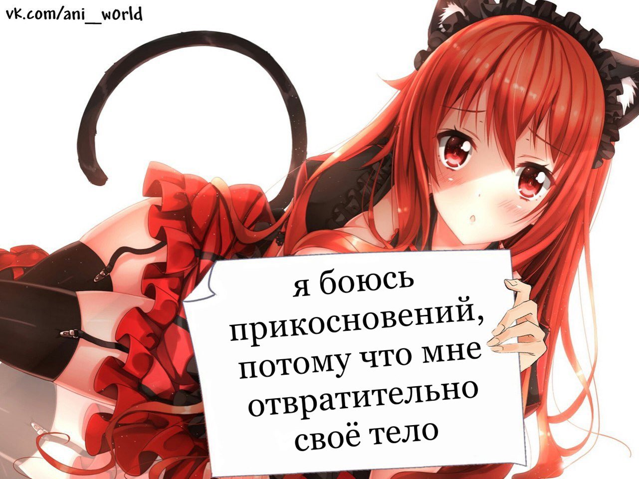 Аниме девушка с табличкой