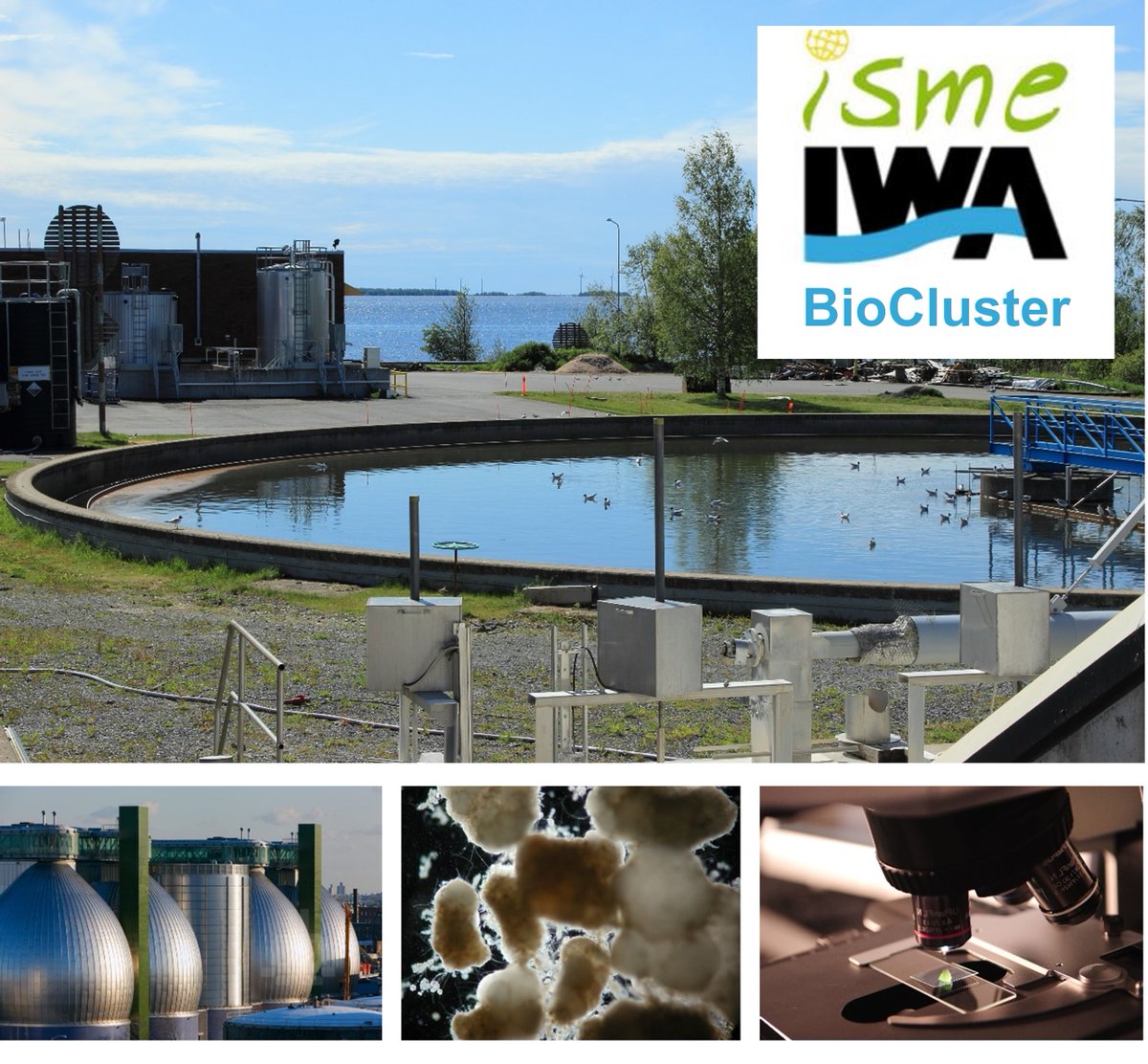 MIDAS Field Guide (@midasguide) on Twitter photo Great talks from BioCluster Award winners (Joe Zhou, Fanqiong Ling, <a href="/ThomasPCurtis/">Thomas P Curtis</a>) at #wwce
We love to celebrate fellow microbial ecology enthusiasts!🦠💧🎉
TUE, Session 1 (10:30-12:00) - 2.2 | BIOCLUSTER WORKSHOP — MICROBIAL ECOLOGY IN WATER ENGINEERING: FROM THEORY TO PRACTICE Great talks from BioCluster Award winners (Joe Zhou, Fanqiong Ling, <a href="/ThomasPCurtis/">Thomas P Curtis</a>) at #wwce
We love to celebrate fellow microbial ecology enthusiasts!🦠💧🎉
TUE, Session 1 (10:30-12:00) - 2.2 | BIOCLUSTER WORKSHOP — MICROBIAL ECOLOGY IN WATER ENGINEERING: FROM THEORY TO PRACTICE