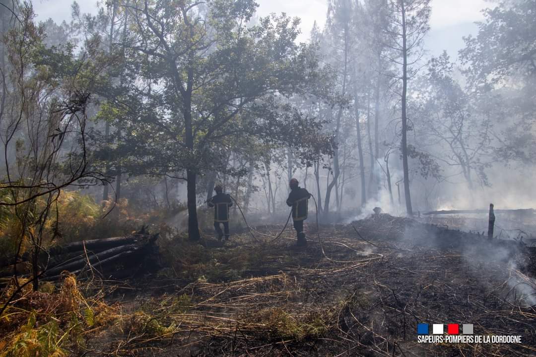 #feuxdeforets 2022 Les <a href="/pompiers24/">SDIS 24</a> remercient les collectivités &amp; entreprises de #Dordogne qui libèrent leurs employés SPV.
Merci aux SPV/SPP/PATS du #SDIS24 qui se mobilisent sans relâche en Dordogne et dans les départements voisins.
Merci à vous tous pour vos encouragements !