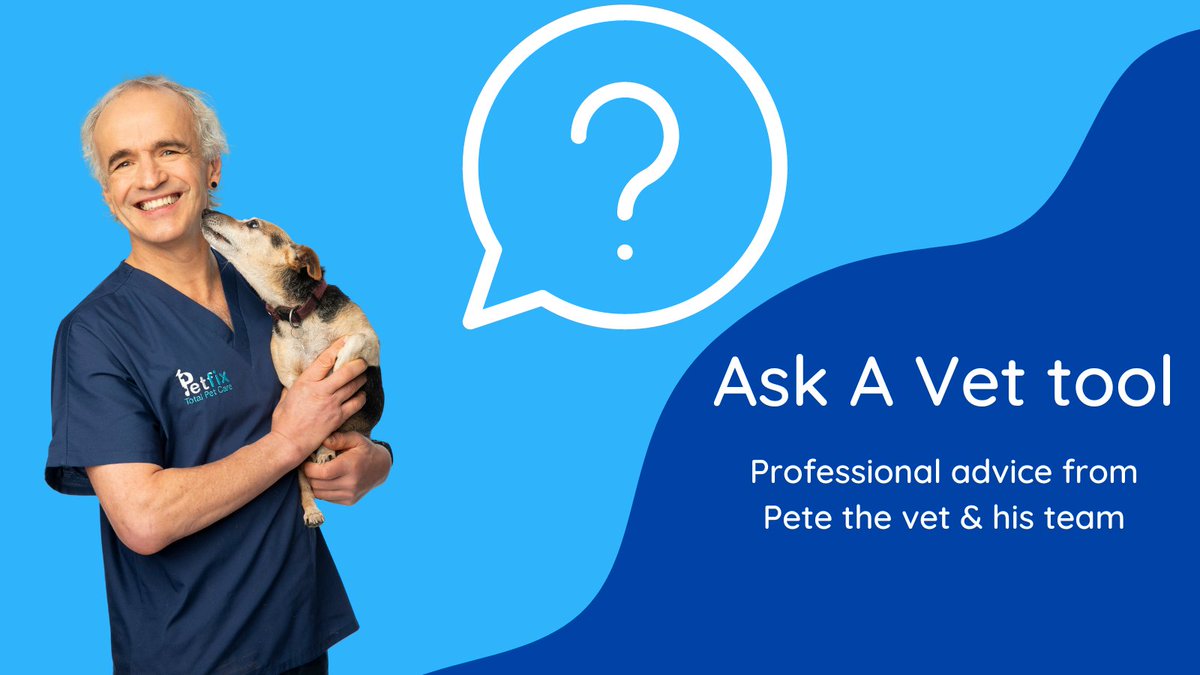 PetfixClub's tweet photo. As a Petfix Club member, you can ask @petethevet about behaviour, feeding habits, product recommendations &amp; everything in between. We are here with professional advice to ensure you are looking after your pets to the best of your ability! 🐾 https://t.co/4OjhNFT8W2
#petfix https://t.co/mk1mEdUcgx