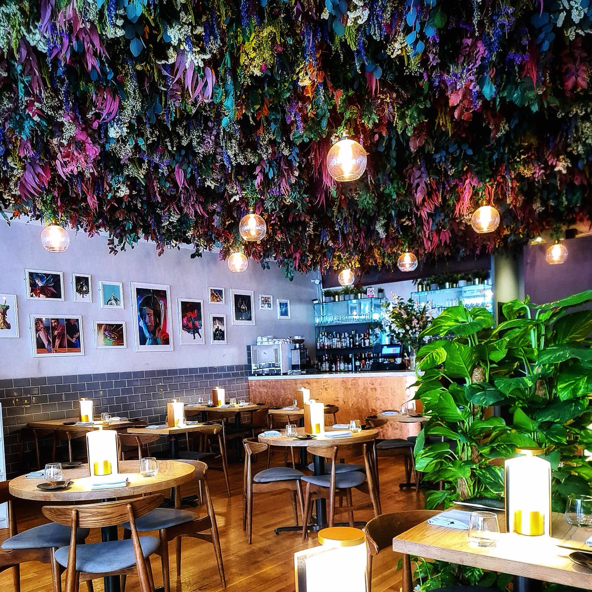 Check out the floral ceiling installation created by the team at @CopperInk restaurant, made with florals supplied by us! linkedin.com/pulse/floral-c…
@TonyRoddUK #floralceiling #driedflowers #preservedfoliage #restaurantdecor #grandreopening #floralinstallation #b2bwholesale