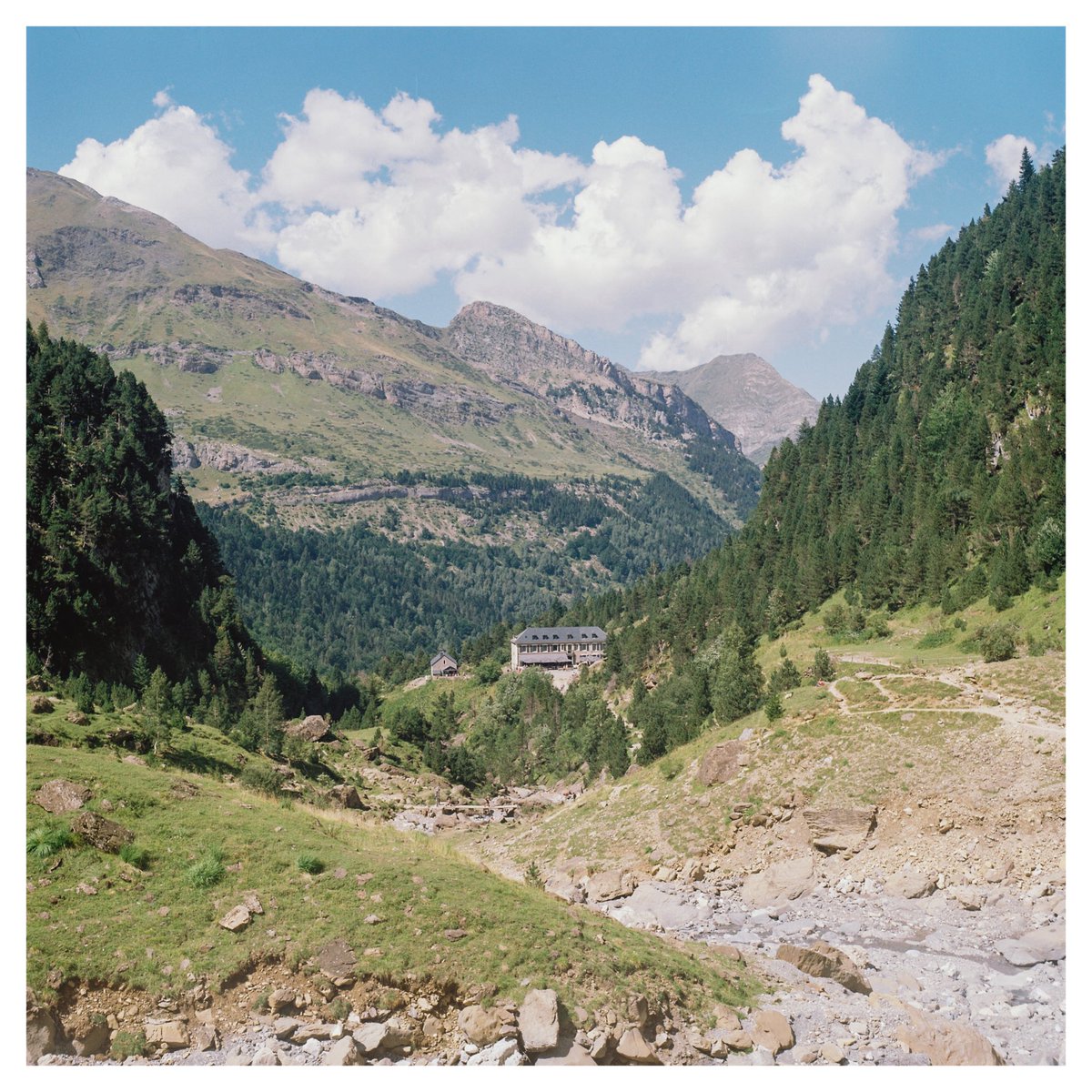 marcargentique's tweet photo. @moment From a week going around South of France on Kodak Gold. https://t.co/jeRntgNVZK