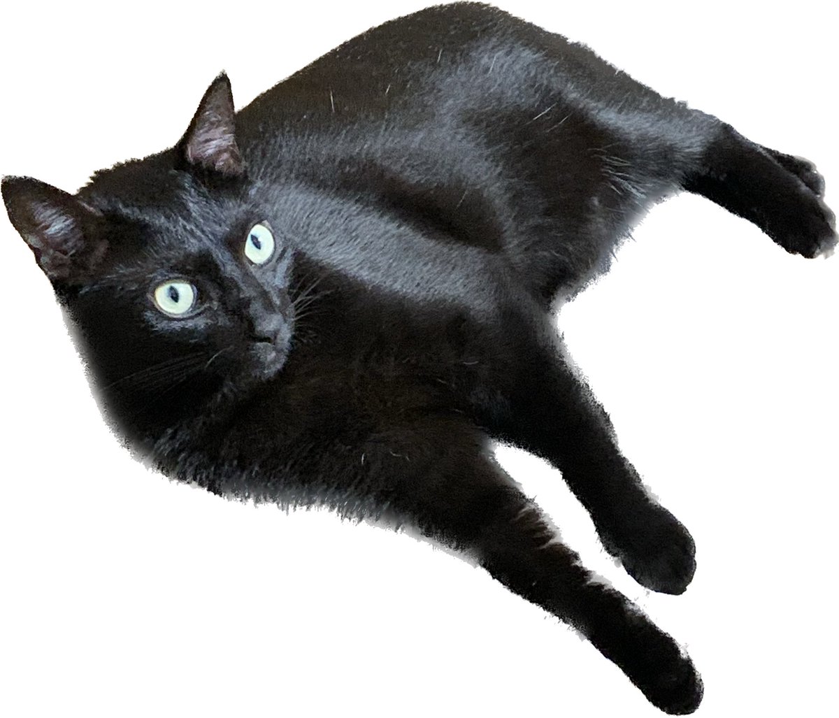 iOS16すごいわね 