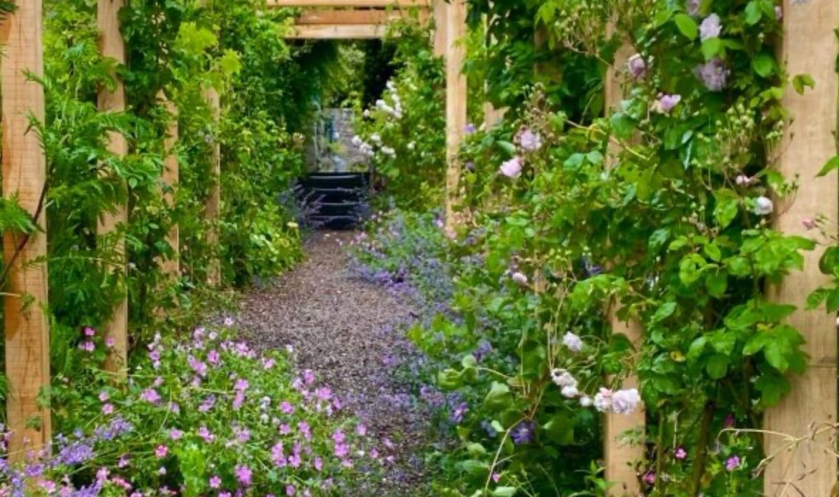 GwentNGS's tweet photo. NEW GARDEN POP-UP opening this Sunday, 12th September from 11-4.00pm. BAILEAU garden, Abergavenny, NP7 8TA is a mature cottage style garden around an ancient farmhouse. https://t.co/U7xQ6YKhBL
