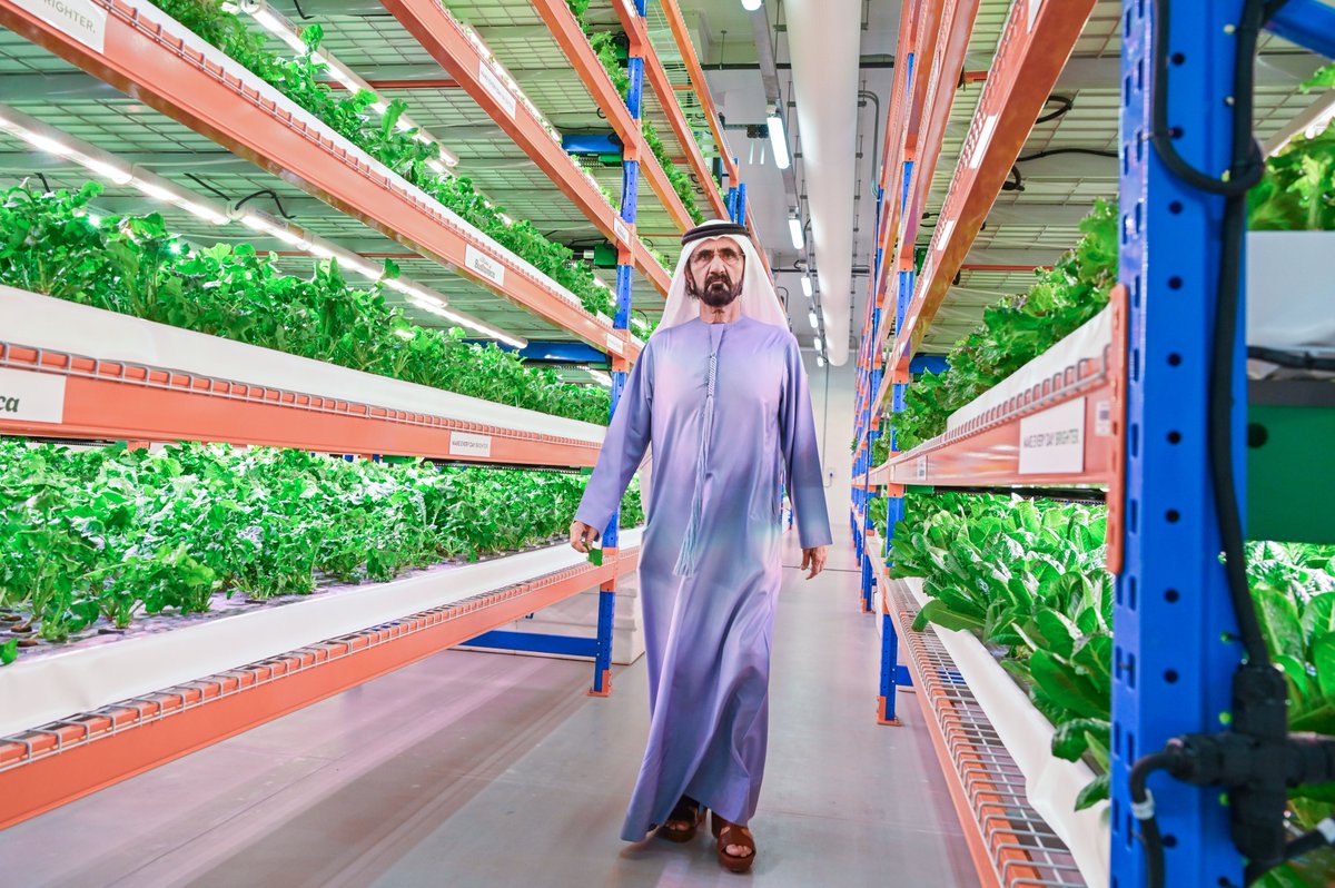 DXBMediaOffice's tweet photo. .@HHShkMohd tours world’s largest vertical hydroponic farm that recently opened in #Dubai. Accompanying His Highness on the tour @MaktoumMohammed. https://t.co/0qs1hFEjw0