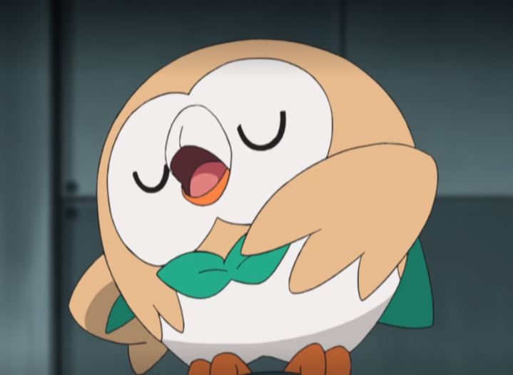 Ah yes 900 followers we are almost to 1,000 followers thank you all. give me suggestions on what I should do for when I reach 1,000