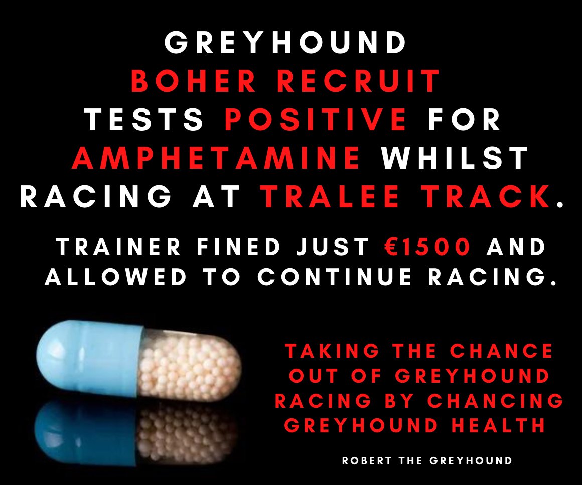GreyhoundRobert's tweet photo. #Greyhound Boher Recruit tests positive for AMPHETAMINE whilst racing at Tralee Track. He trainer was fined just €1500 and allowed to continue racing. Slap on the wrist for those who DOPE dogs. #GreyhoundRacing #DopedDogs #Ireland #Greyhounds https://t.co/tcxSiHa1dE
