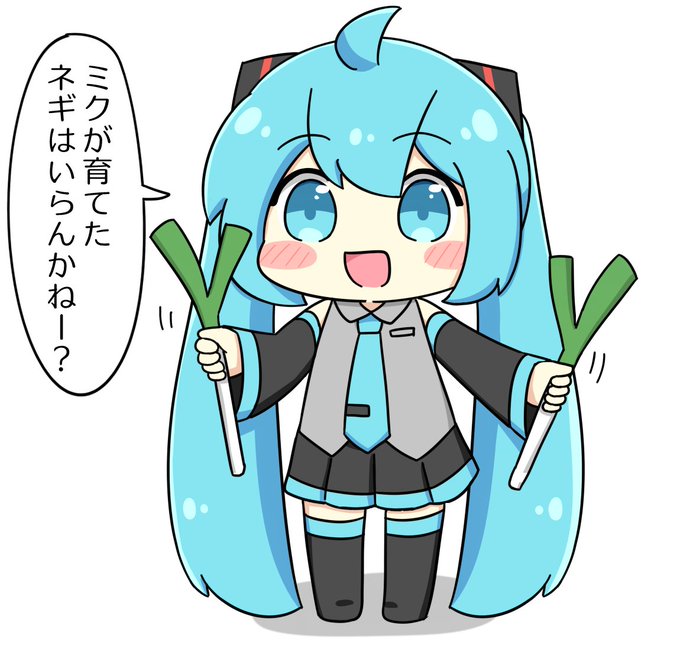 ミク産のネギ 