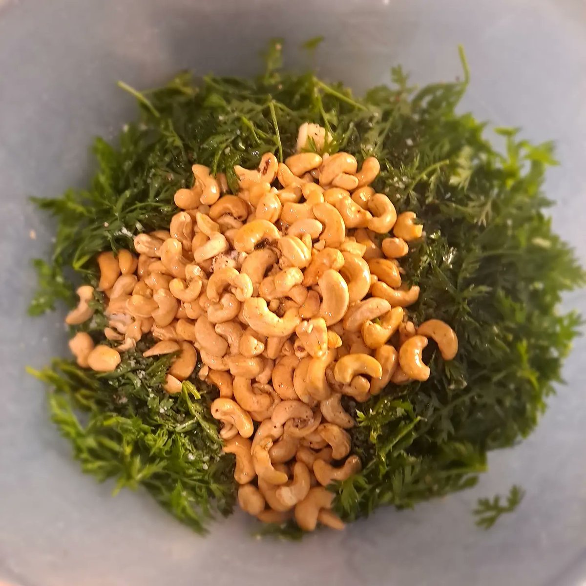 OMBExeter's tweet photo. I picked up some lovely carrots at Brillsville Market
on Sat and they had lovely leafy green tops so I made some carrot top pesto 🥕🌱
#lovelocalbuylocal #lovefoodhatewaste #Exeter #devonfoodies #DevonFood #DevonFoodHour
🧵 1/2 https://t.co/oc0y5fWDZs