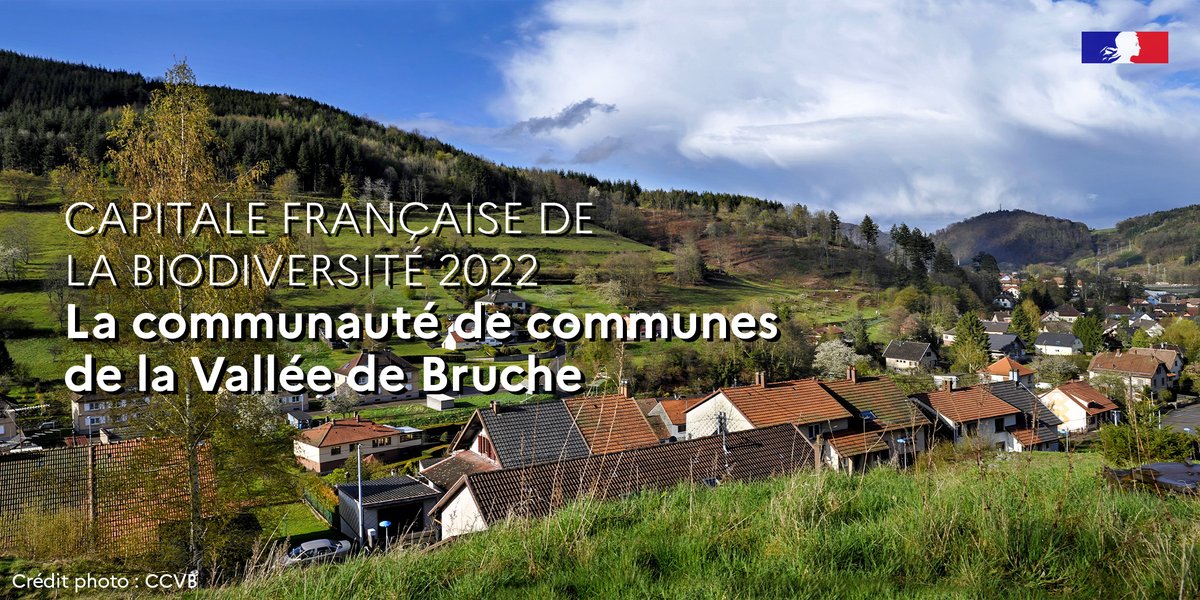 OFBiodiversite's tweet photo. 🏆 La communauté de communes de la Vallée de Bruche est élue "@Capitale_Biodiv 2022"

🏞️ Avec les 4 autres collectivités lauréates, elle illustre par ses actions le lien étroit entre restauration des paysages et protection de la nature

👉 + d'infos : https://t.co/706KyUbrT7 https://t.co/dFnAAZ2Tax