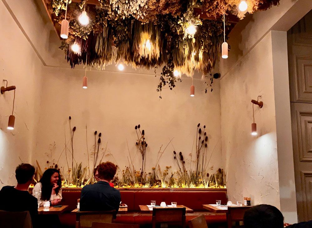 Walk on the Wild Side with <a href="/HendersonsEat/">Hendersons Eat Better</a>'s special menu this Thursday for #ForagingFortnight. Sourcing is at the forefront of the Edinburgh vegetarian restaurant's philosophy, with everything made from scratch using local, wild, seasonal ingredients. ow.ly/JfcR50KAiij