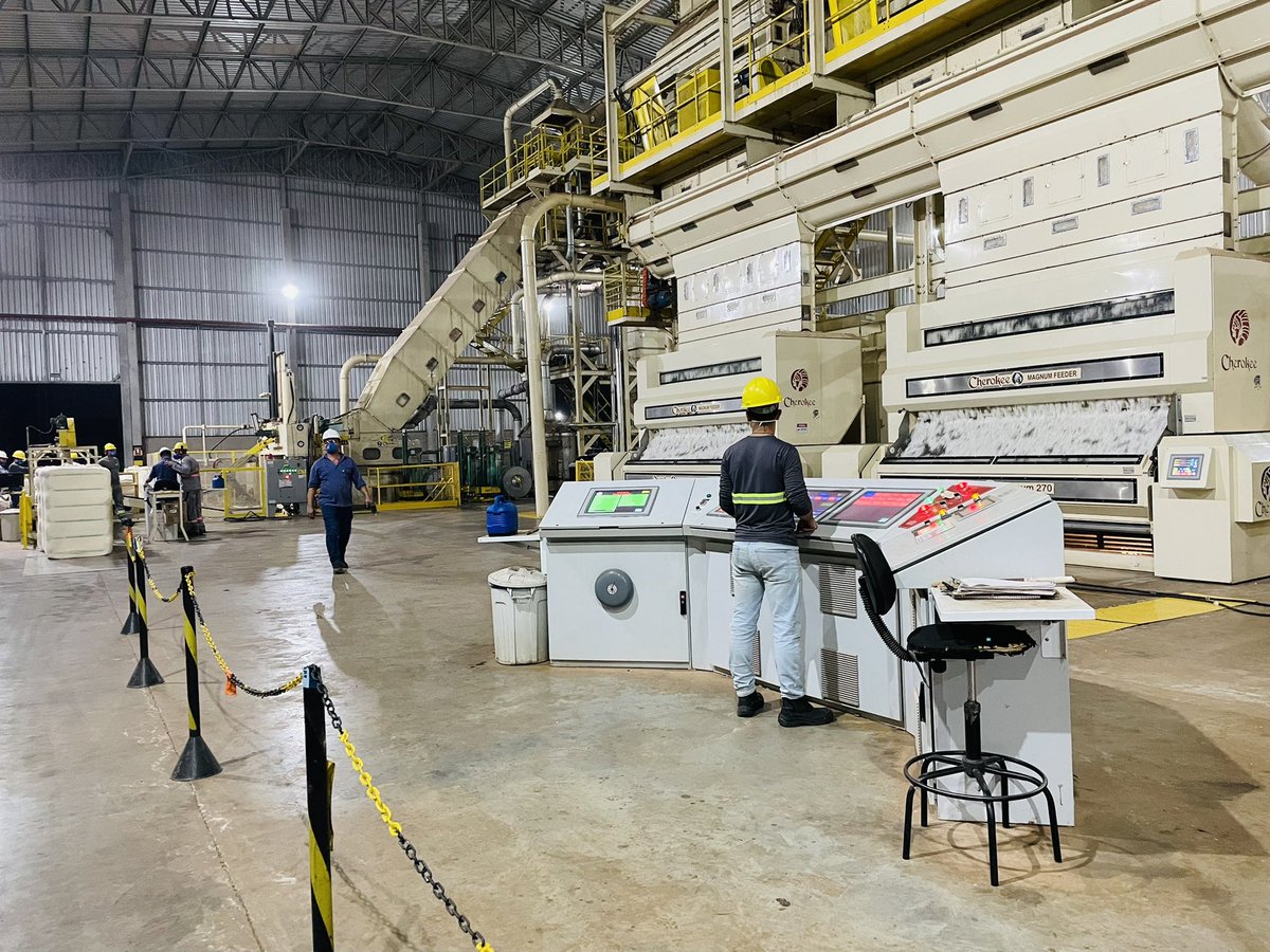 Emma Ayliffe tweet media