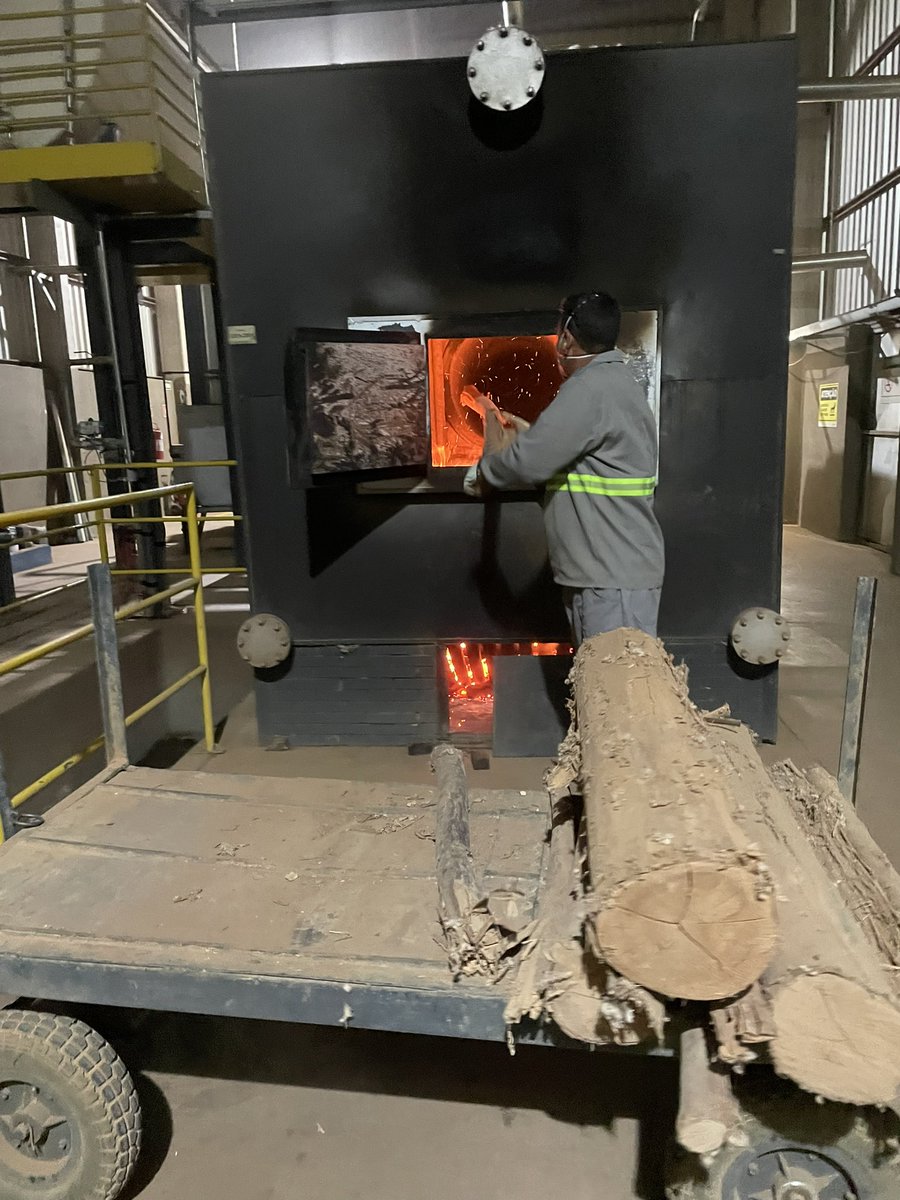 Emma Ayliffe tweet media