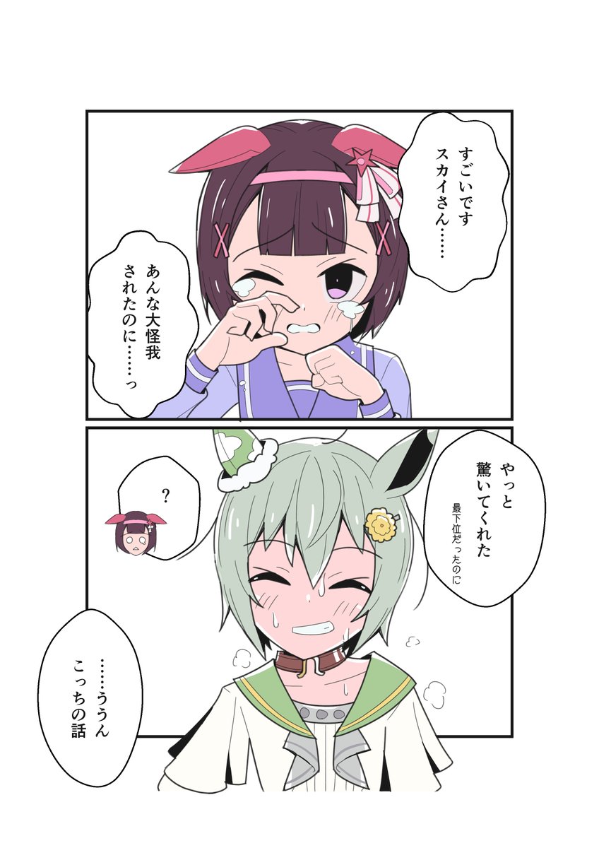 びっくりさせたいあの子④

#ウマ娘
#ニシノフラワー
#セイウンスカイ 