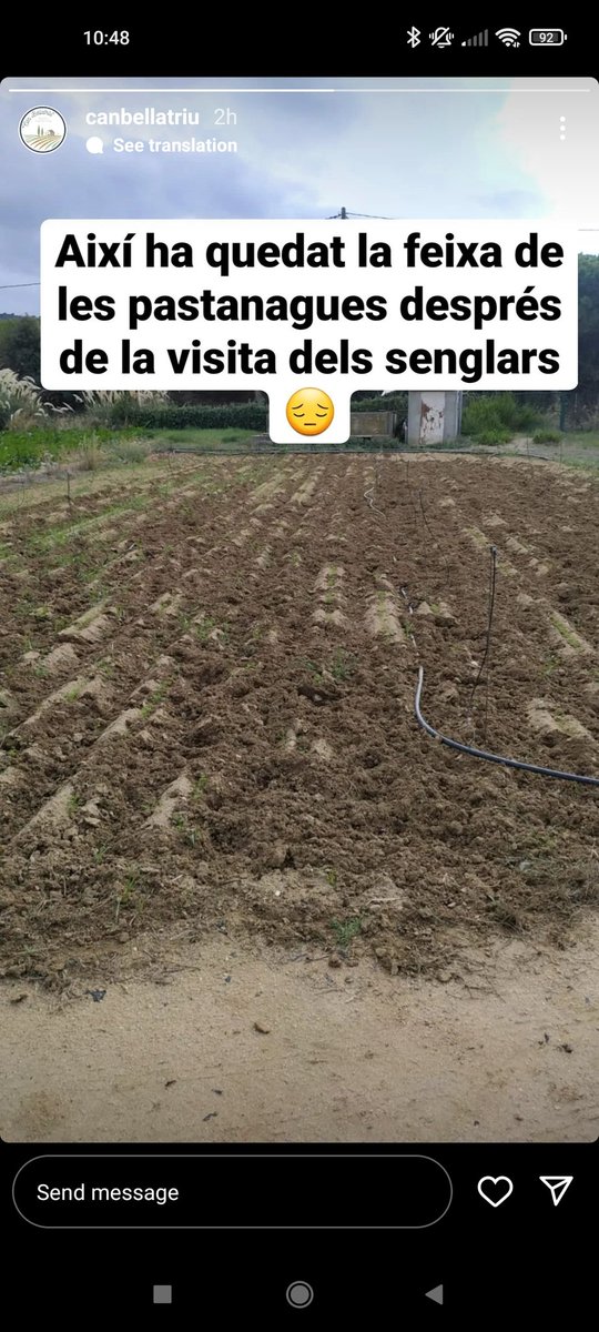 Polbellatriu's tweet photo. Desesperant és poc... A aquest ritme no collirem res aquest hivern. Necessitem solucions ja! @agriculturacat https://t.co/vwwb1YpsxT