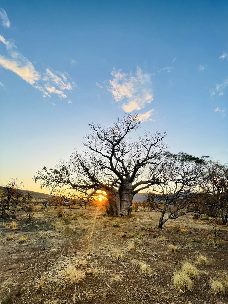 Nothing quite like the Kimberley…
#wathedreamstate <a href="/WestAustralia/">Western Australia</a>