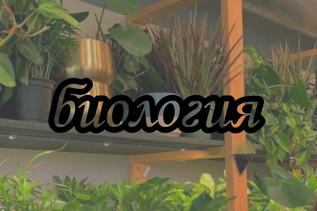 _kind__soul_'s tweet photo. ОМГ, ЭТО КОМБО— https://t.co/iOW8O1ORi6
