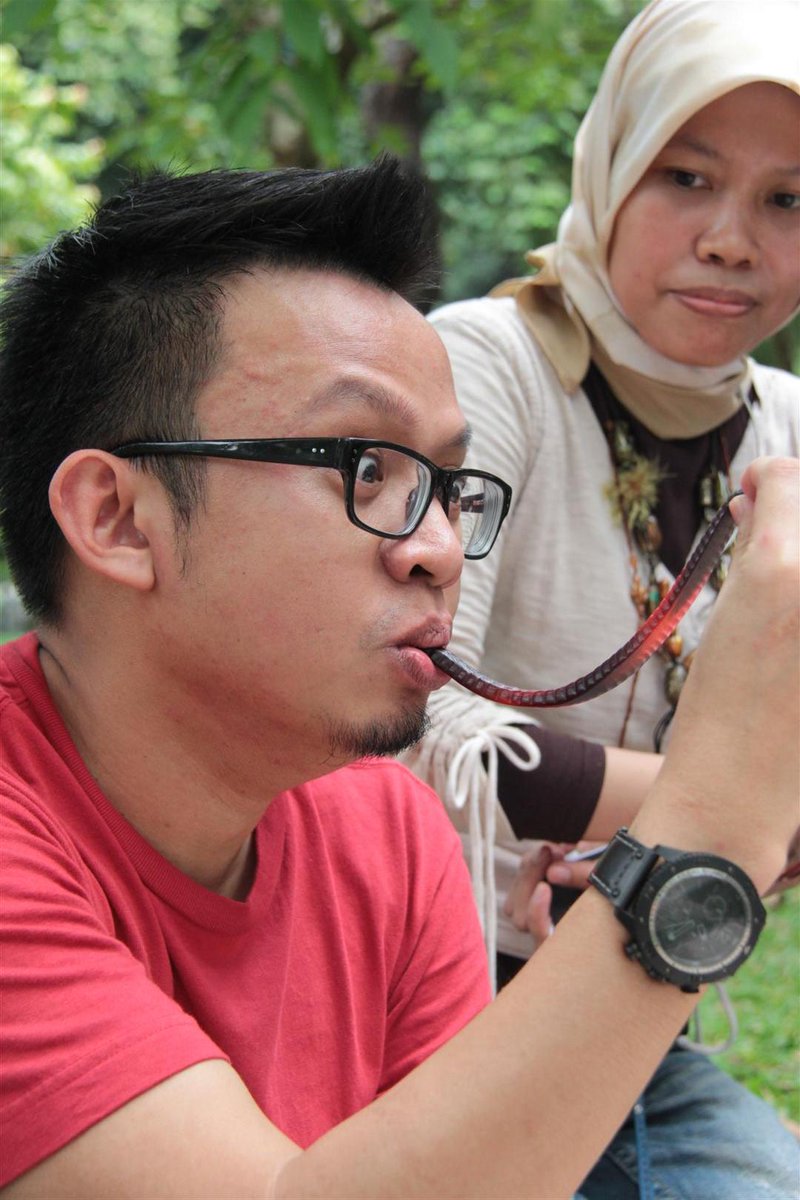 Mas Bernard tweet media