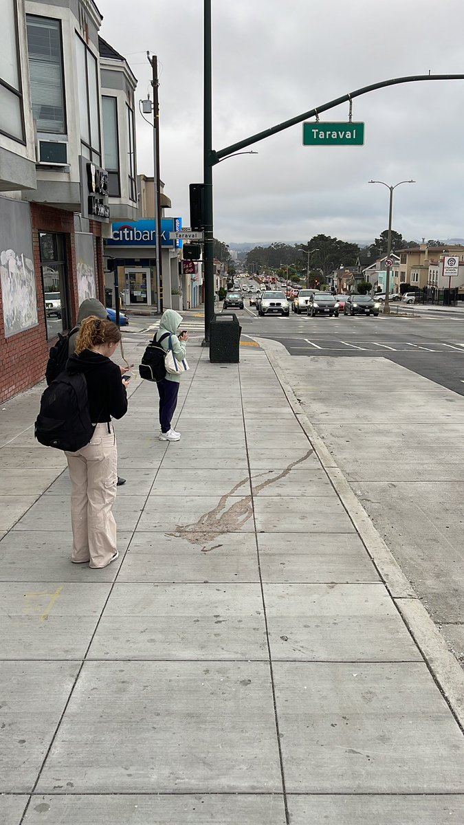 transitcounts's tweet photo. #transitmonth on Nineteenth Ave in #sanfrancisco. No red zone. No yellow flag stop. Nothing. How does one know to take a #bus here? Luckily no #servicegaps here. #2819thAvenue #19thAvenue #SanFrancisco #howsyourtransitmonth? @SFMTA_Muni @sfpublicworks @sfcta @D4GordonMar https://t.co/XdKTjJJ4ma