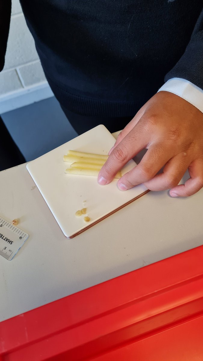 lawnswoodschool's tweet image. Y10 scientists have been investigating osmosis - using potato &amp;amp; sucrose solution #requiredpractical #curiosity