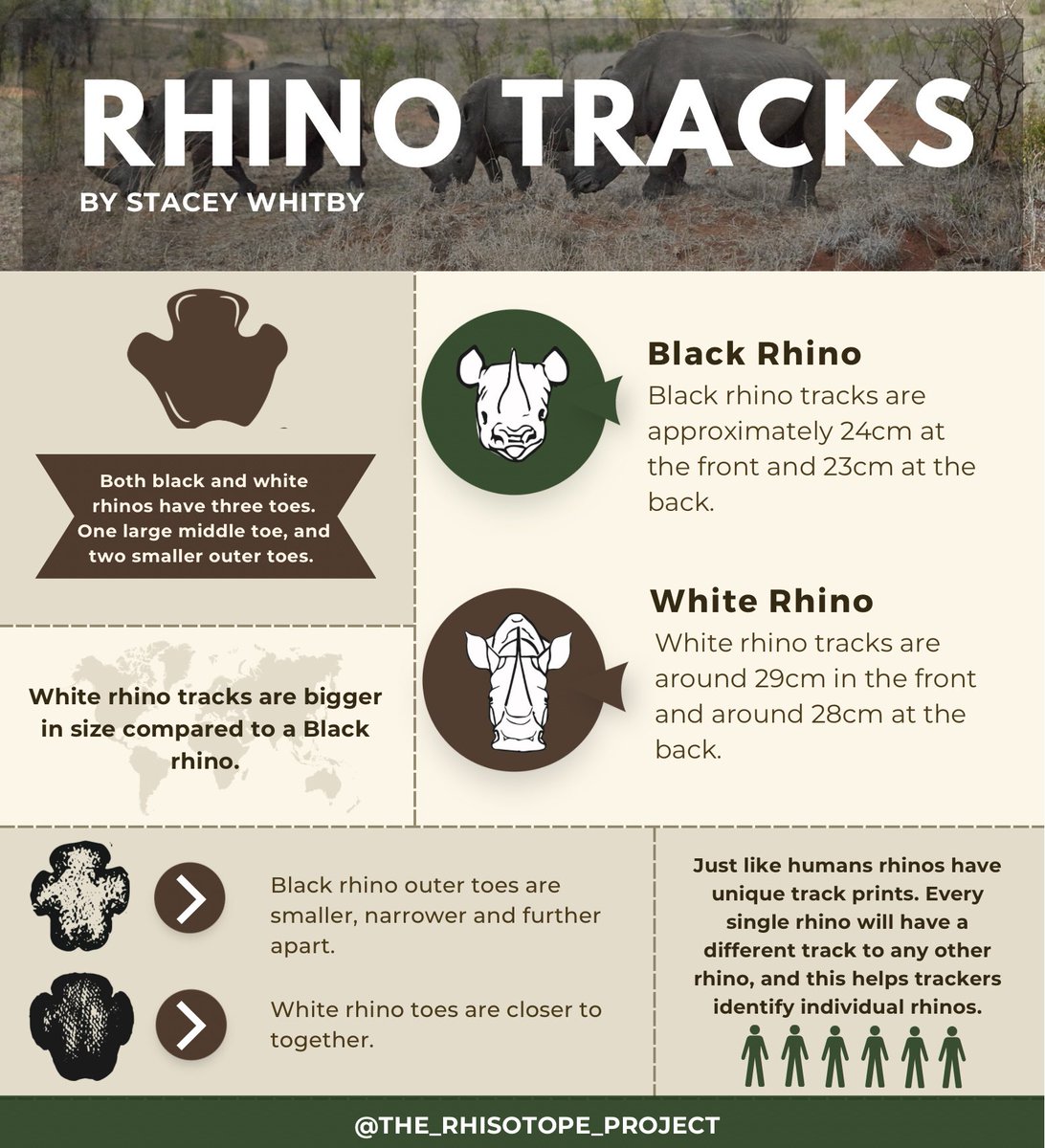 rhisotope's tweet photo. Our DigiPal ambassador Stacey wanted to share some interesting facts on rhino tracks!
Show her some love and share your thoughts below ⬇️⬇️⬇️
#Rhinos #WildAfrica #FunFacts #NuclearRhino #animals #education #FutureGeneration #DigiPal #tracking https://t.co/CwLN7T2Y0i