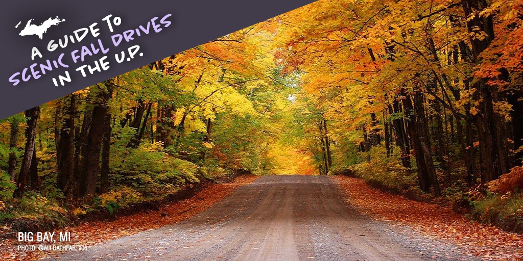 UPTravel's tweet photo. Fall color season in the U.P. is typically the last week of September through the first two weeks of October🍂 
🚗 Follow these 10 scenic routes to see the best fall color➡️ https://t.co/DSrTG1rw7f
#uptravel #up #fallcolor #fallfoliage #fallcolortour https://t.co/wfpNY2fQsj